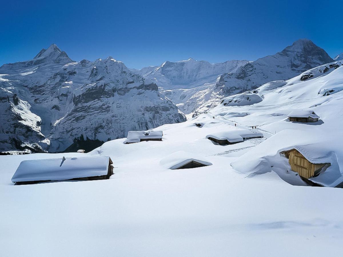 Chiebrendli By Interhome Apartamento Grindelwald