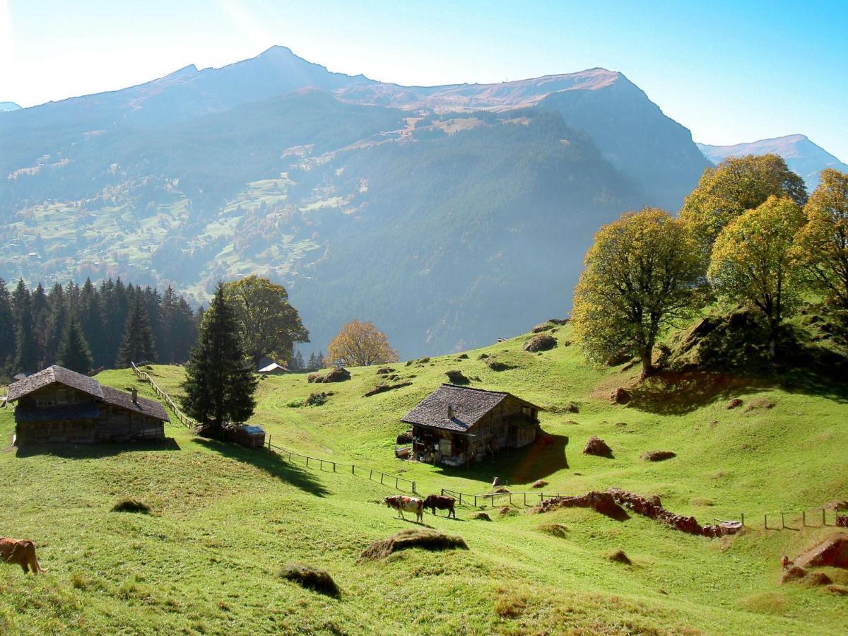Chiebrendli By Interhome Apartamento Grindelwald